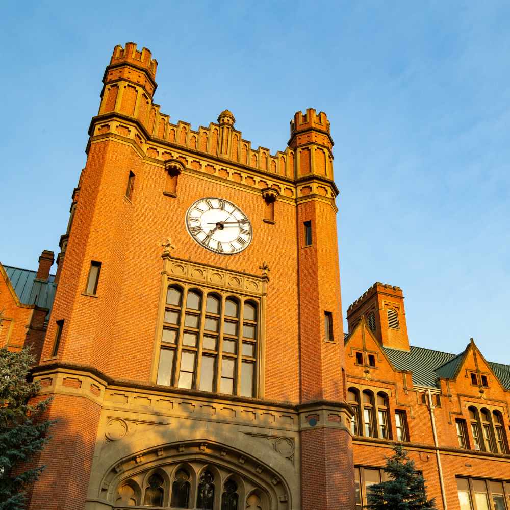 Saudi USA University